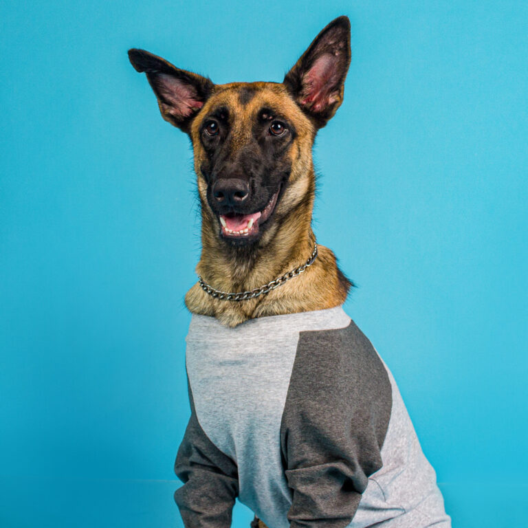 Copy of IMG 6770 196 scaled