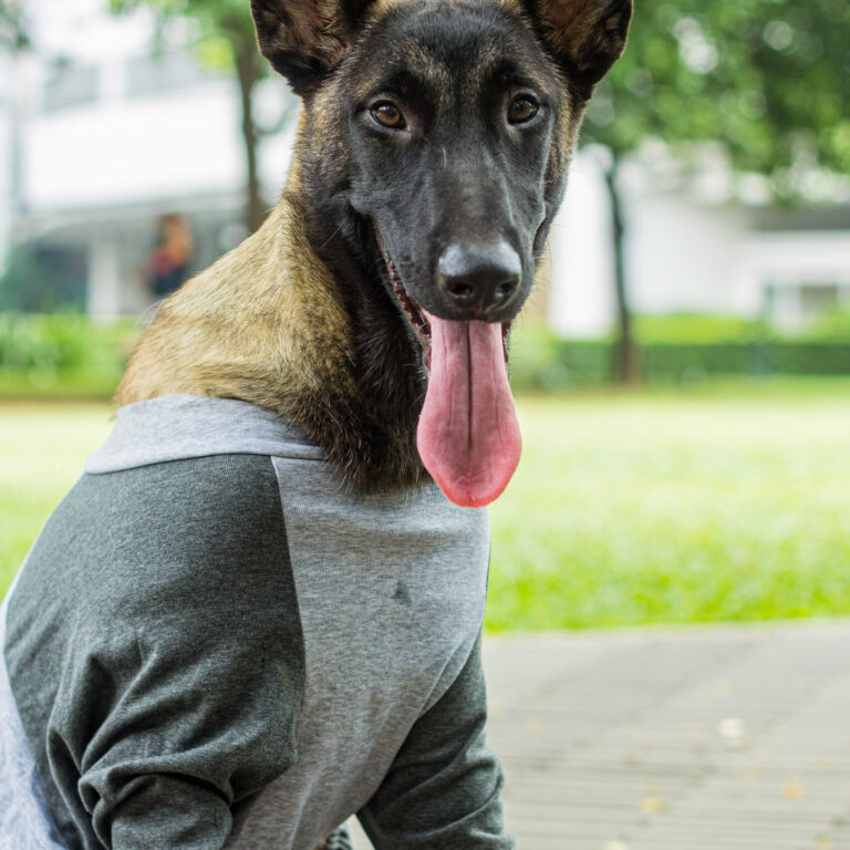 Copy of IMG 6533 45 scaled