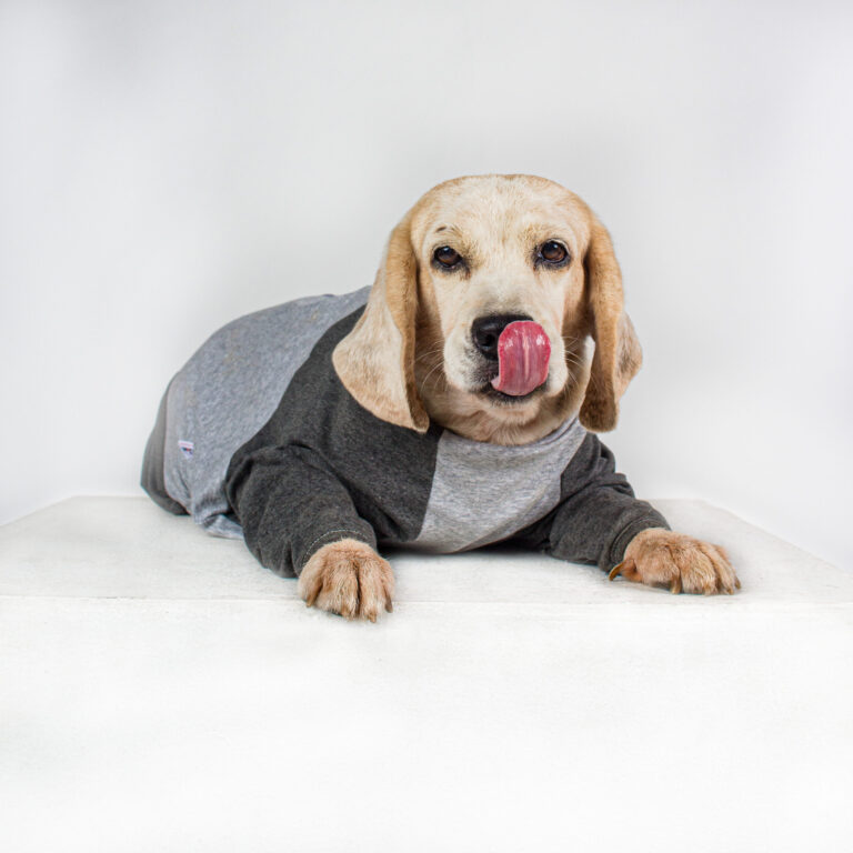 Copy of IMG 6725 164 scaled