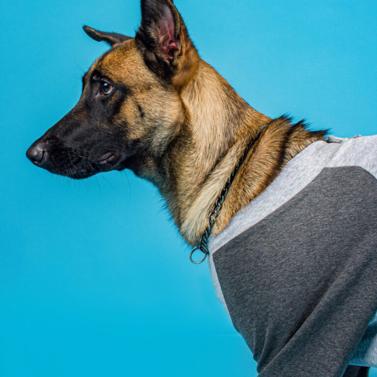 Copy of IMG 6762 188 scaled