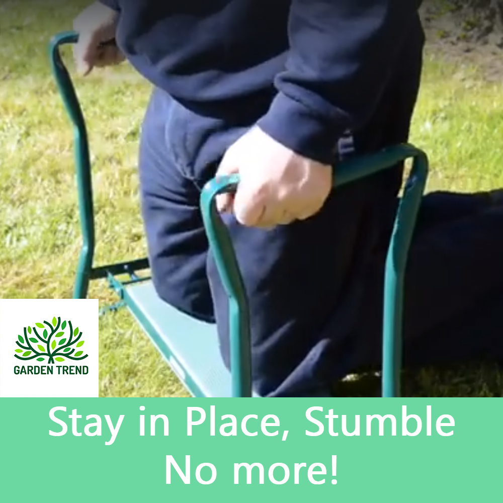 Home garden graphics 06